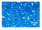 Image of grains in perovskite sample